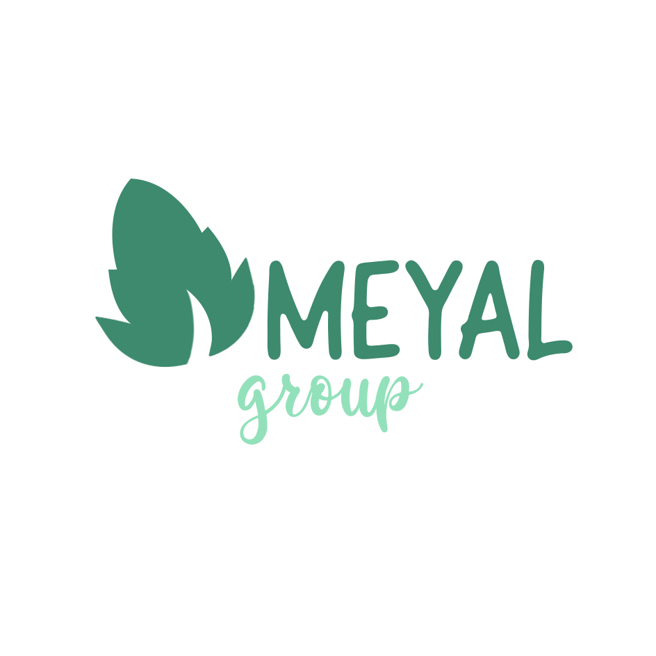 AMEYAL GROUP